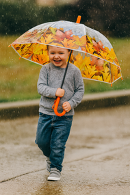 Autumn Leaf Transparent Kids Umbrella