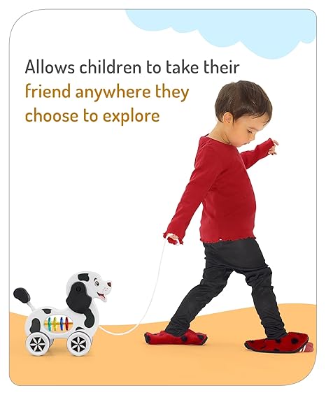 Storio Baby Products Pull Along Toddler Toy