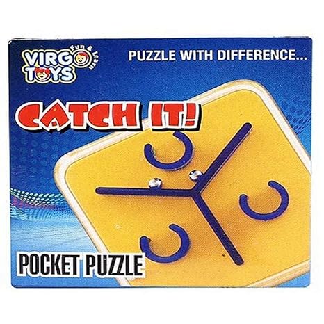 Catch It Pocket Puzzle